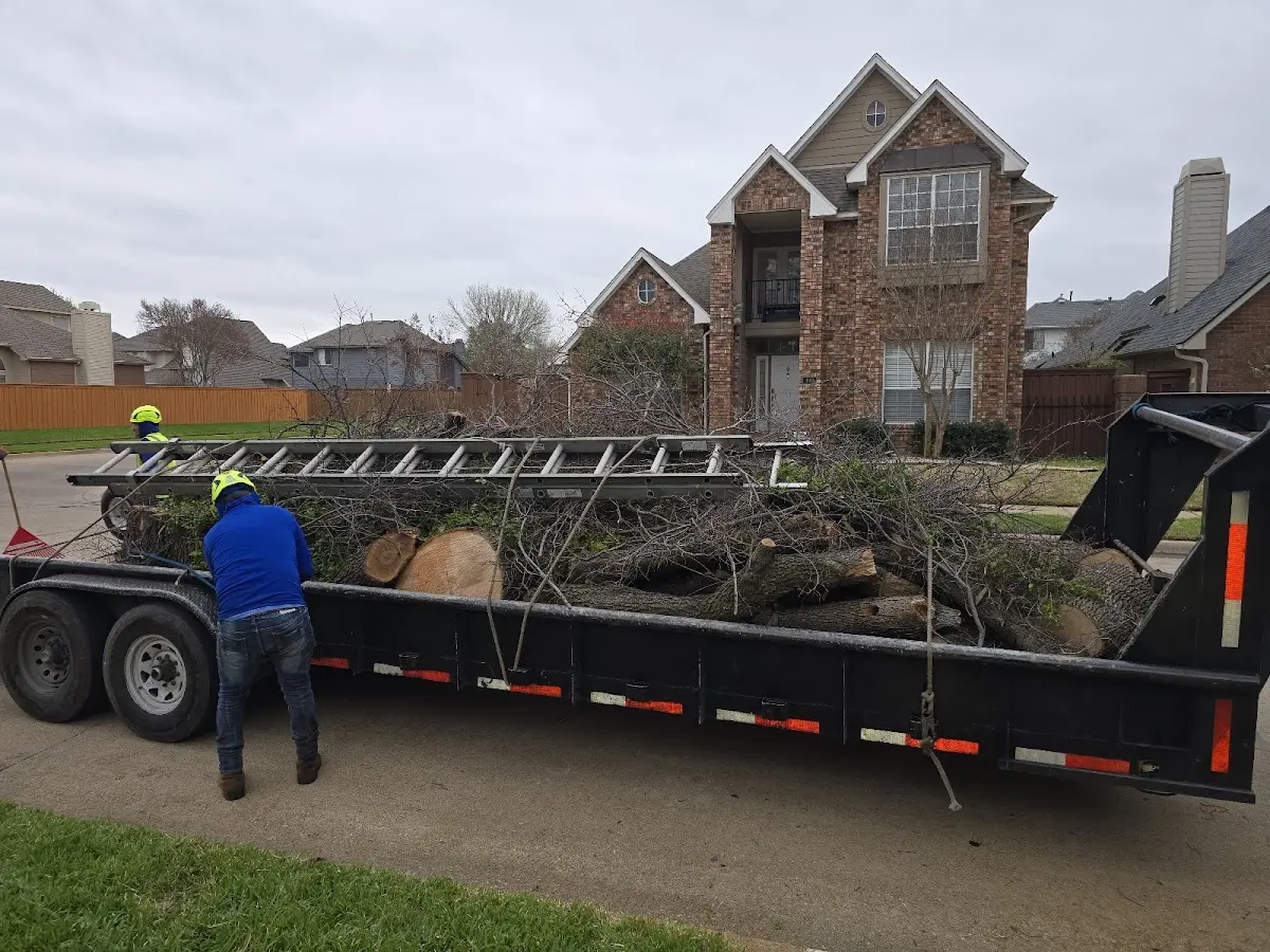 Expert Tree Fertilization with proper safety equipment in Enfield